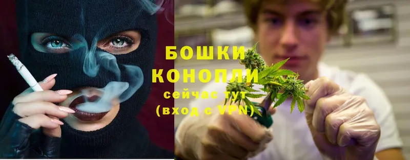 Бошки марихуана SATIVA & INDICA  что такое   Североморск 